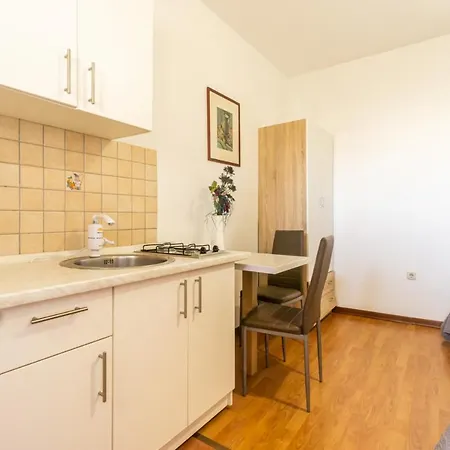 Jasko I Jelica Beautiful View Apartment Metajna Exterior photo